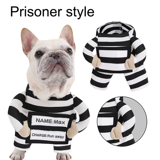 French Bulldog wearing black and white striped prisoner Halloween costume with customizable name tag showing Max and Run away charge