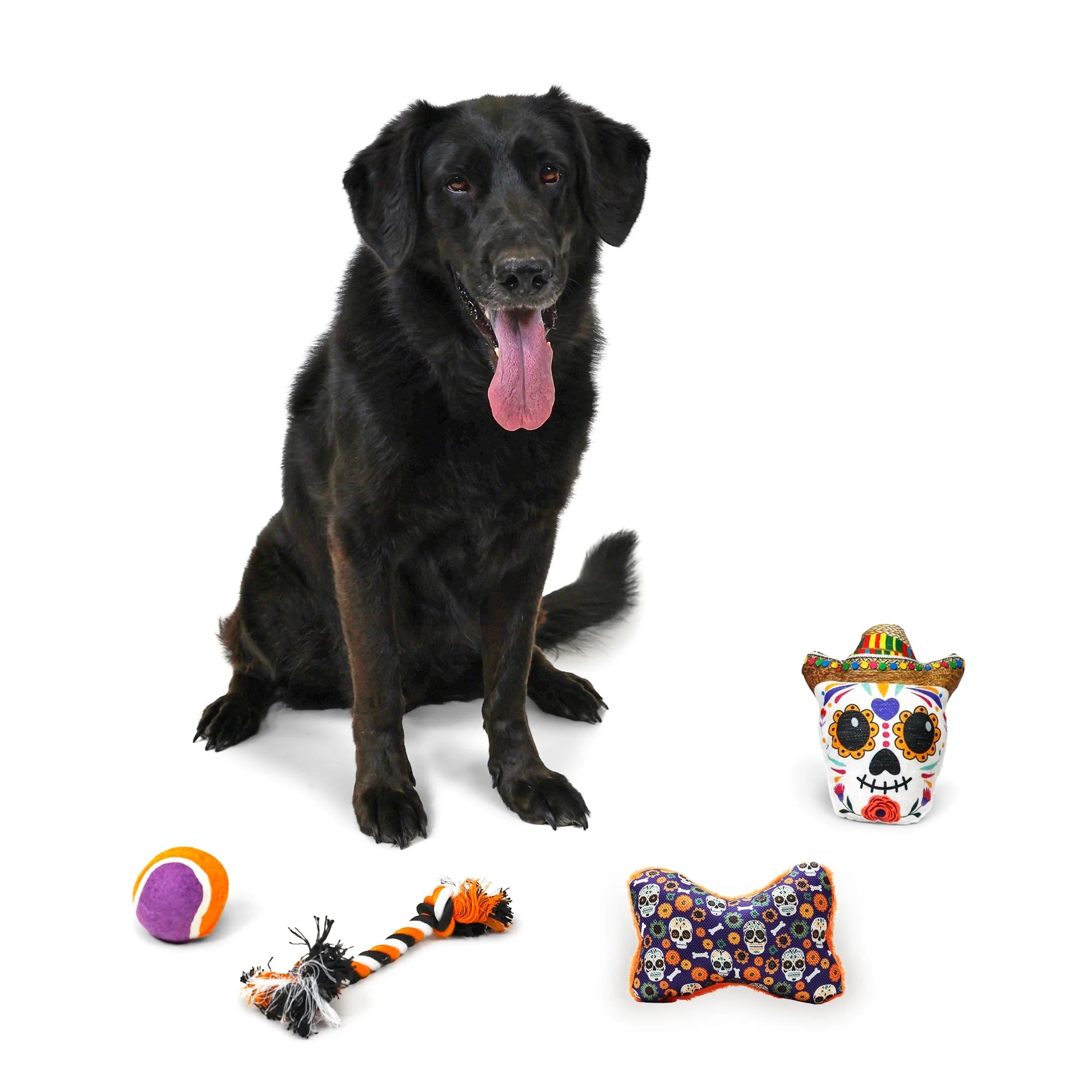 Halloween Dog Toys, 4 Piece Multipack, Day of the Dead Plush Sugar Skull, Purple Squeaky Bone, Multicolored Tennis Ball, Multicolored Chew Rope