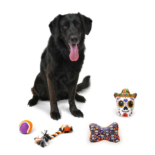 Halloween Dog Toys, 4 Piece Multipack, Day of the Dead Plush Sugar Skull, Purple Squeaky Bone, Multicolored Tennis Ball, Multicolored Chew Rope