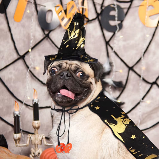 Pet Costume Cape and Wizard Hat Set for Halloween Outfit Small Cosplay for Cats Accessories Decoration Dog Funny Party Supply