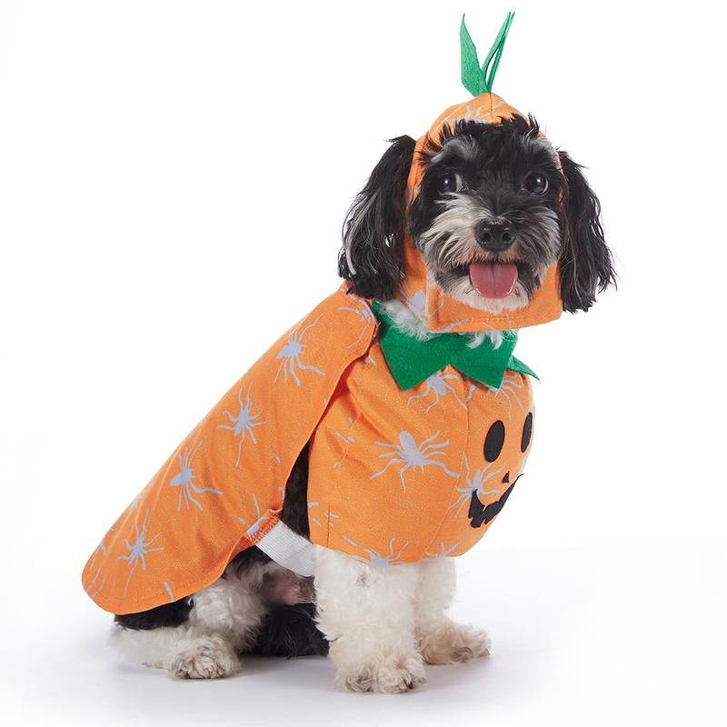 Pet Luv Halloween Costume Cotton Pumpkin Cosplay Clothes for Small Dogs & Cats Adorable T-Shirt Cozy Fall Sweaters Winter Costumes Easy Wear Party Fun