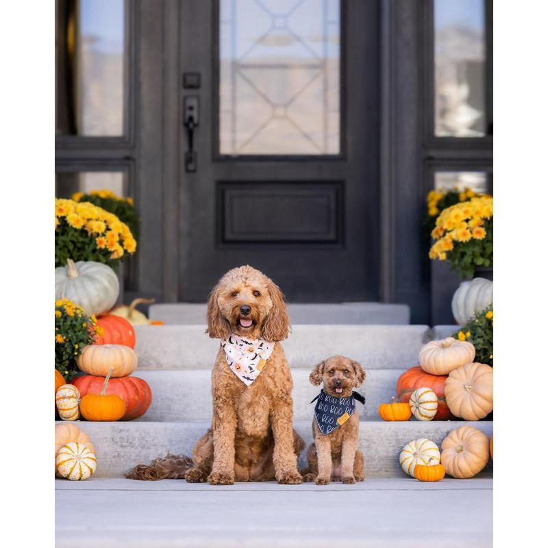 Remy+Roo Dog Bandanas - 2 Pack | Halloween Dog Bandanas Spooky Set | Premium Durable Fabric Bandanas for Dogs | Unique Shape | Adjustable Fit
