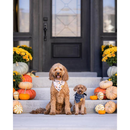 Remy+Roo Dog Bandanas - 2 Pack | Halloween Dog Bandanas Spooky Set | Premium Durable Fabric Bandanas for Dogs | Unique Shape | Adjustable Fit