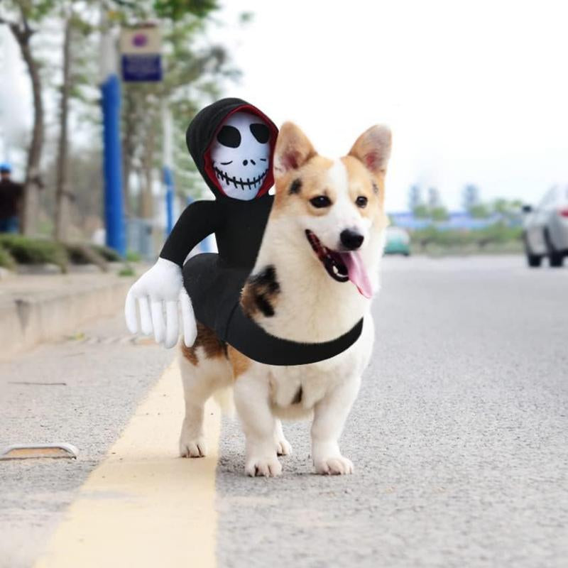 WEKKOPET Ghost Costume Condiment Shirts for Pets: Relish T-Shirts for Small and Large Dogs and Cats, Dog Lover Halloween