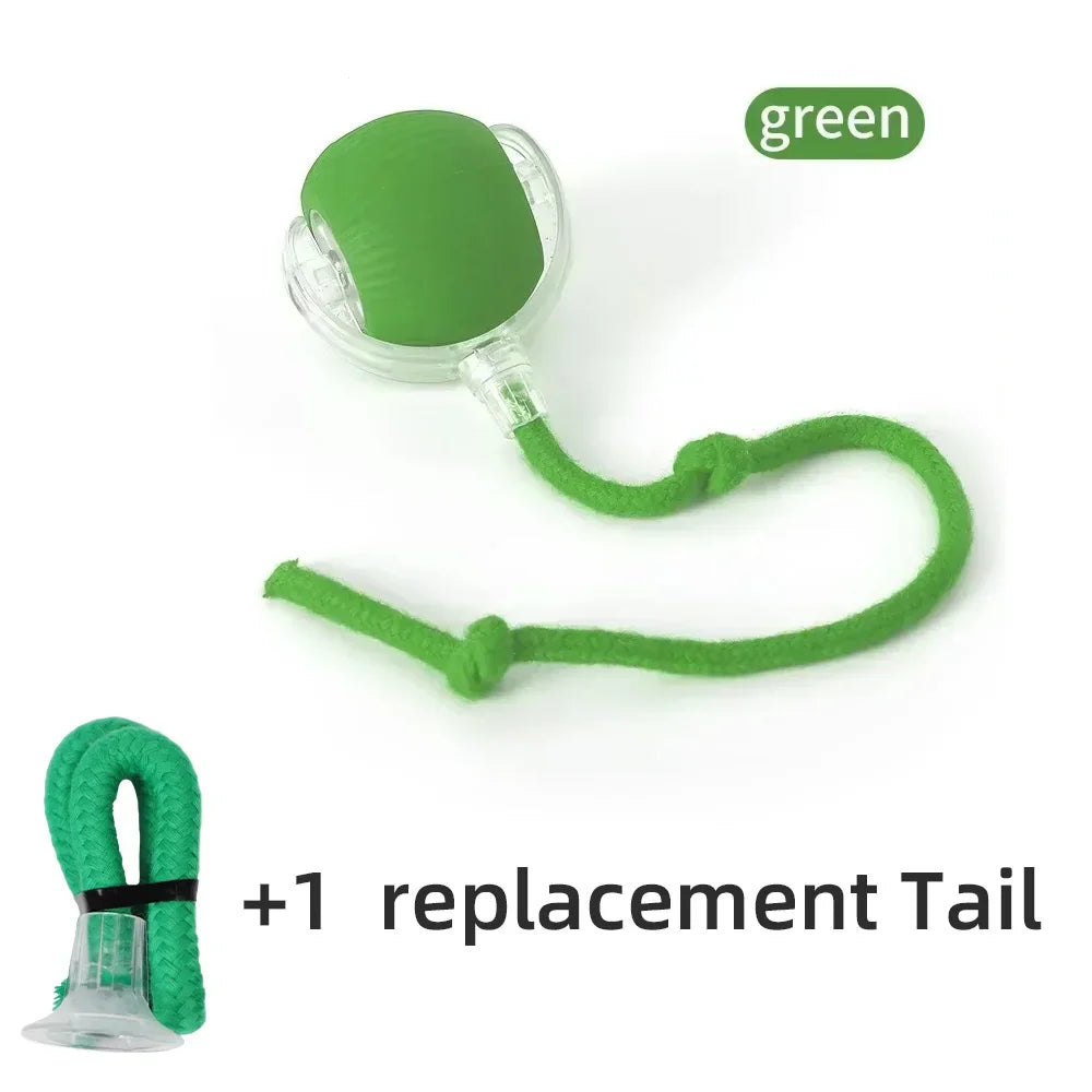 Interactive Cat and Dog Toys Ball Auto Electric Rolling Ball Toys for Cats/Kitty Pets Smart Automatic Teaser USB Rechargeable