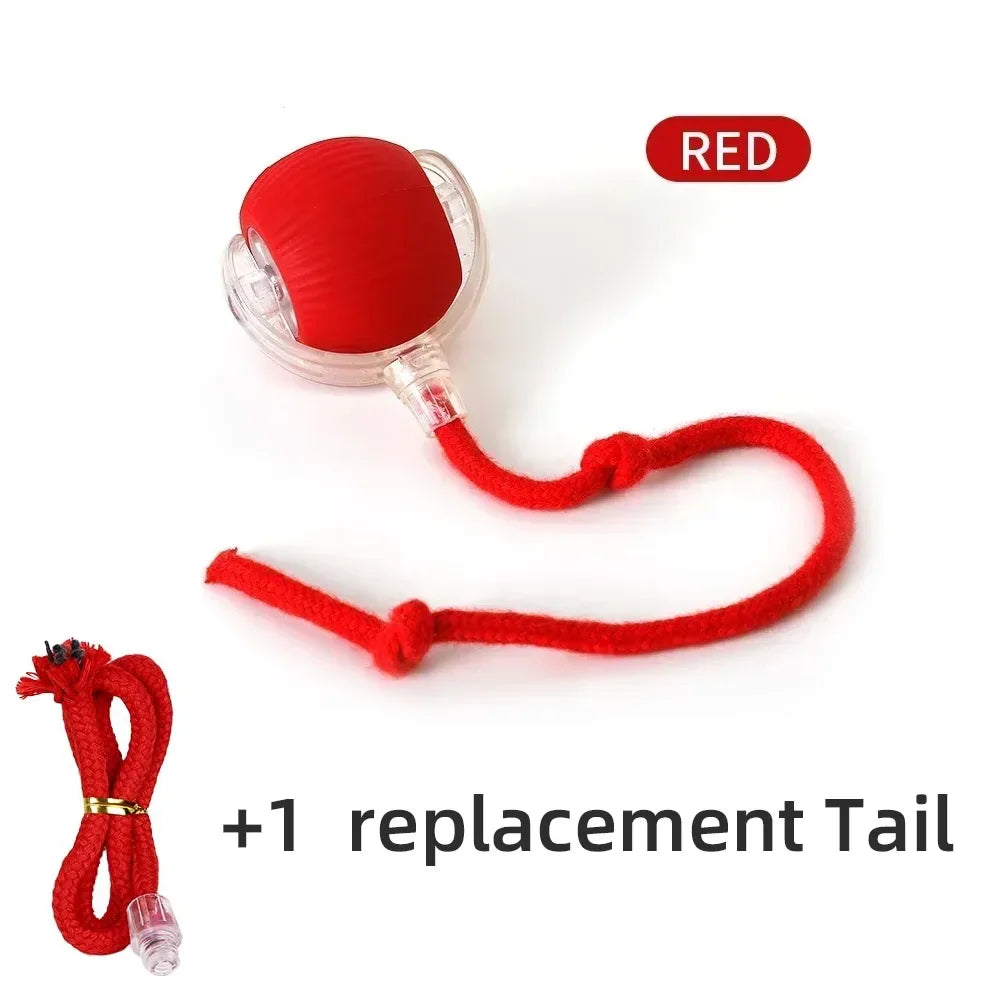 Interactive Cat and Dog Toys Ball Auto Electric Rolling Ball Toys for Cats/Kitty Pets Smart Automatic Teaser USB Rechargeable