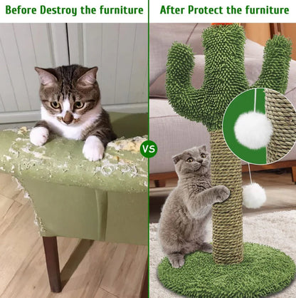 Cactus Pet Natural Tree Climbing Toys