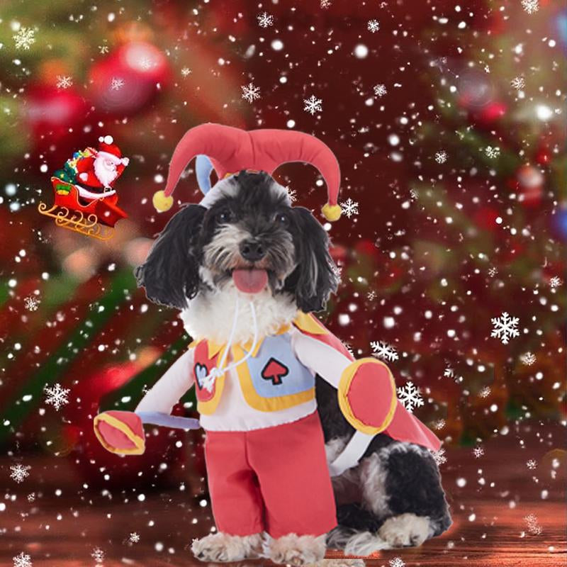 Pet Luv Halloween Costume Cotton Pumpkin Cosplay Clothes for Small Dogs & Cats Adorable T-Shirt Cozy Fall Sweaters Winter Costumes Easy Wear Party Fun