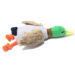 Dog Toys