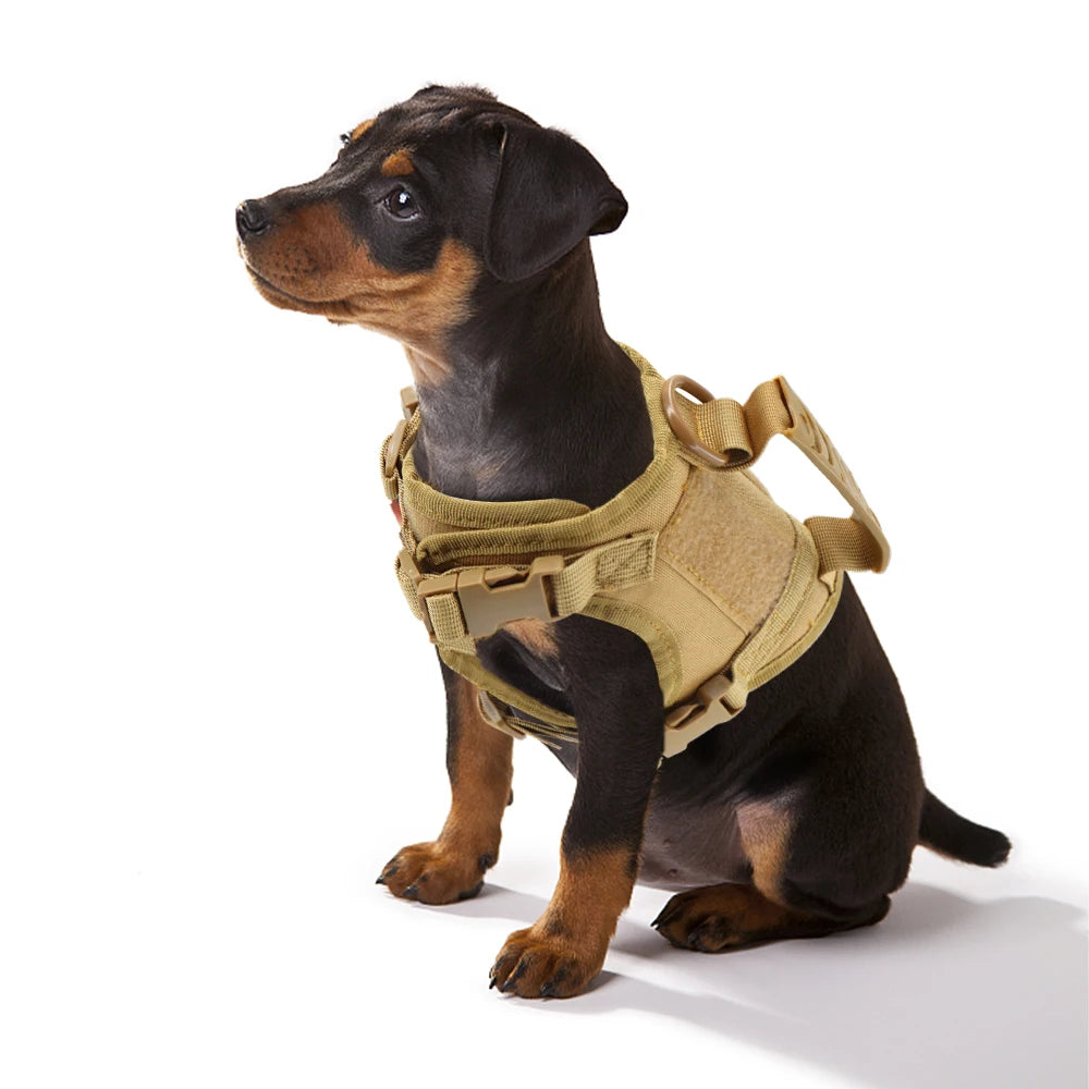 Tactical Puppy Harness Leash for Small Dogs Cats Adjustable Kitten Vest for Military Service Dog Working Training Walking
