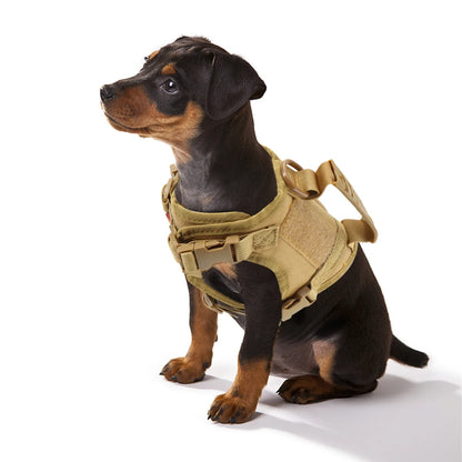 Tactical Puppy Harness Leash for Small Dogs Cats Adjustable Kitten Vest for Military Service Dog Working Training Walking