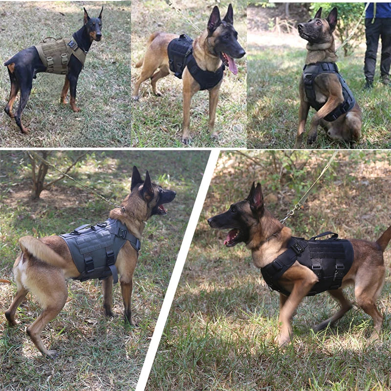 Tactical Military Vest Pet German Shepherd Golden Retriever Tactical Training Dog Harness and Leash Set for All Breeds Dogs