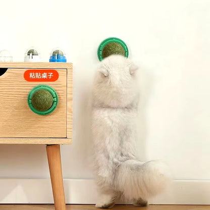 The Catnip Cat Wall Stick-On Ball Toy Scratchers Treats Healthy Natural Removes Balls to Promote Digestion Cat Grass Snack