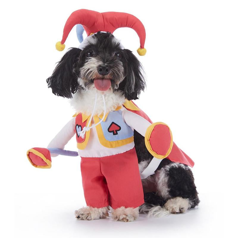 Pet Luv Halloween Costume Cotton Pumpkin Cosplay Clothes for Small Dogs & Cats Adorable T-Shirt Cozy Fall Sweaters Winter Costumes Easy Wear Party Fun