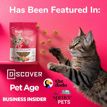 Cat Crunchy Treats for Cats – Healthy Low Calorie Packed with Protein – No Wheat, Corn or Soy – Made with Real Salmon with Cranberry – 2.5 Ounces