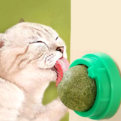 The Catnip Cat Wall Stick-On Ball Toy Scratchers Treats Healthy Natural Removes Balls to Promote Digestion Cat Grass Snack