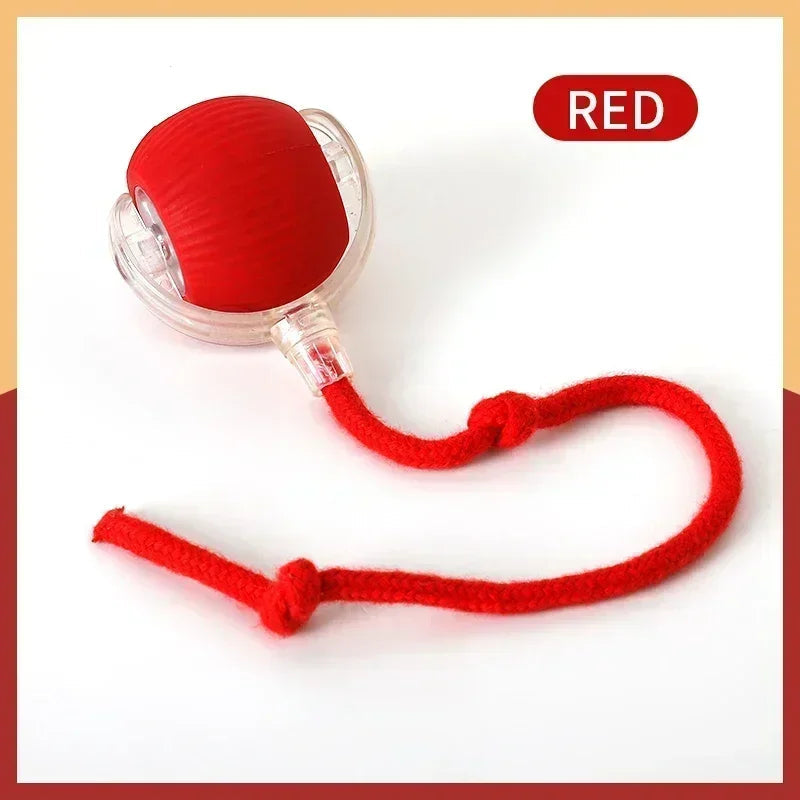 Interactive Cat and Dog Toys Ball Auto Electric Rolling Ball Toys for Cats/Kitty Pets Smart Automatic Teaser USB Rechargeable