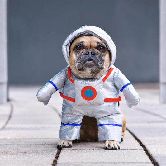 WEKKOPET Dog Halloween Costumes - Astronaut Costume Condiment Shirts for Pets