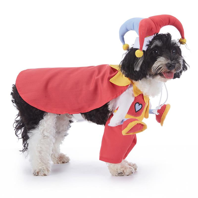 Pet Luv Halloween Costume Cotton Pumpkin Cosplay Clothes for Small Dogs & Cats Adorable T-Shirt Cozy Fall Sweaters Winter Costumes Easy Wear Party Fun